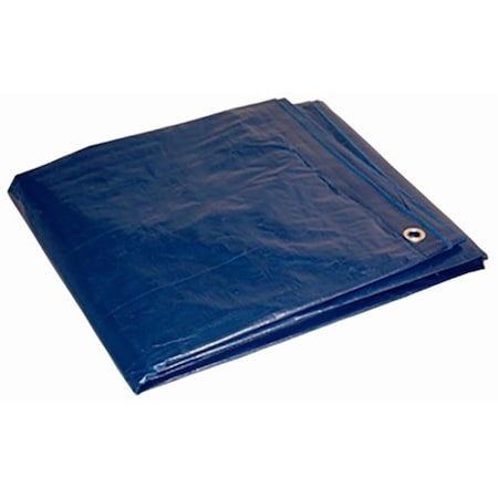 Fgi 16 ft x 20 ft Tarp, Blue 482062049